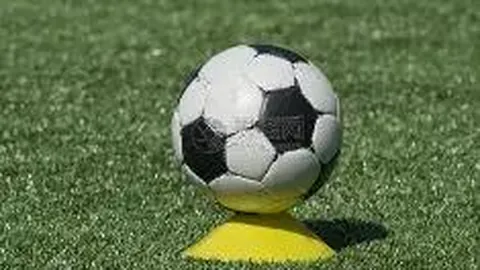 开云体育app优惠 资讯 122610 ol9