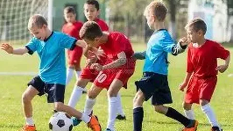 开云体育app优惠 资讯 123051 cx7