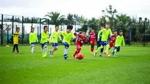 开云体育app优惠 资讯 123738 coe